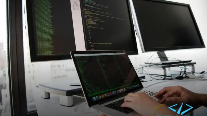 Por Que Contratar um Desenvolvedor Pode Fazer Toda a Diferença no Seu Projeto